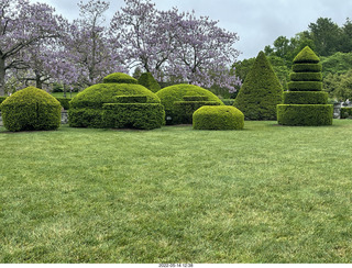 452 a1f. Longwood Gardens topiary