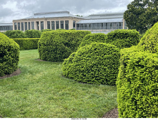 455 a1f. Longwood Gardens topiary