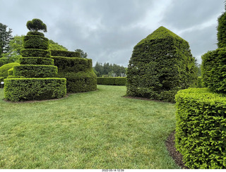 456 a1f. Longwood Gardens topiary