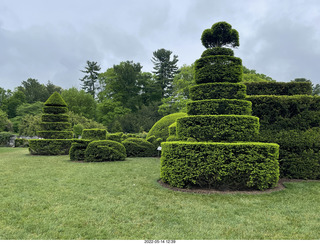 457 a1f. Longwood Gardens topiary