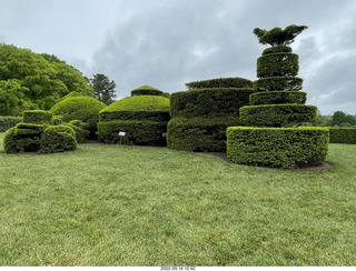 458 a1f. Longwood Gardens topiary