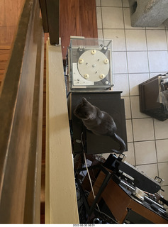 my hifi and my cat Jane from above