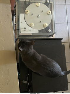 my hifi and my cat Jane from above