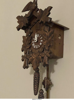 home construction - cuckoo clock