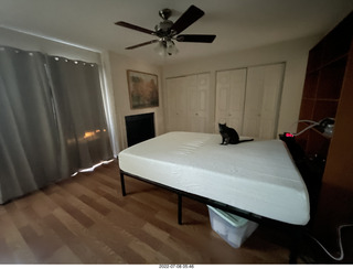 home construction done - master bedroom + my cat Devin