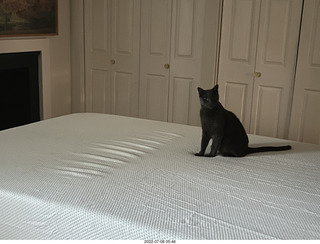 home construction - master bedroom + cat Devin