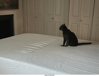 home construction done - master bedroom + my cat Devin