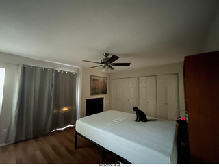 294 a1h. home construction done - master bedroom + my cat Devin