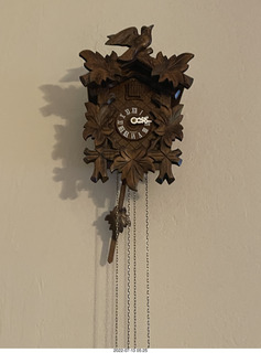 home construction done - my cuckoo clock from Hedda Bird