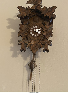 home construction done - my cuckoo clock from Hedda Bird