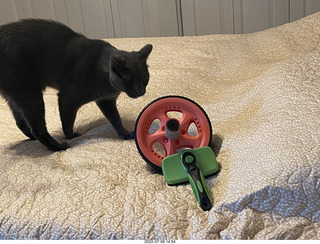 home construction done - my cat Devin and his usual bed toys