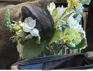 floral arrangement on my table + my cat Jane
