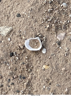 seashells on canal pathway