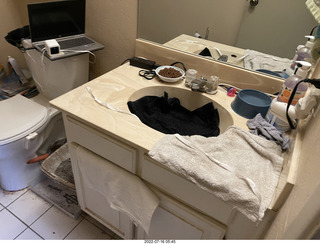 my cat Miss Pris at night out of the sink