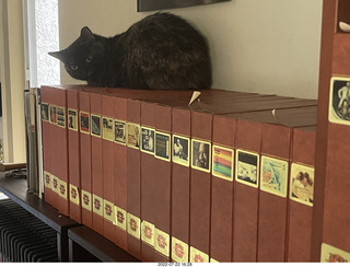 my cat Miss Pris atop my reel tapes