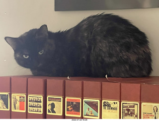 my cat Miss Pris atop my reel tapes