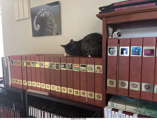 my cat Miss Pris on my reel tapes