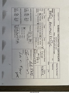 Halo Cat Rescue paperwork for my cat Miss Pris