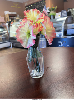 flowers in a vase