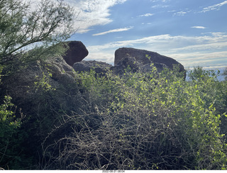 Marcus Landslide Trail