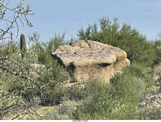 Marcus Landslide Trail - mushroom rock