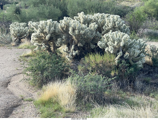 Marcus Landslide Trail