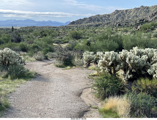 Marcus Landslide Trail