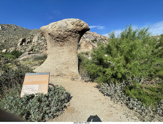 Marcus Landslide Trail