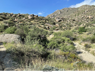 Marcus Landslide Trail