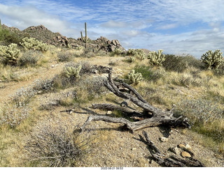 Marcus Landslide Trail