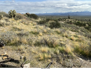 Marcus Landslide Trail