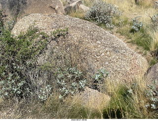 Marcus Landslide Trail