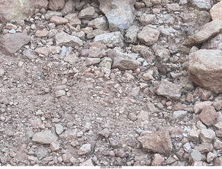 Bryce Canyon - Peek-a-boo trail - chipmunk