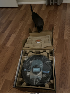 Shark AI Robot in box and my cat Devin