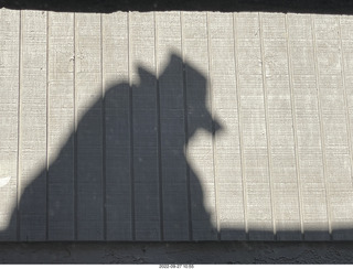 roofer Misha's shadow