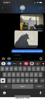 text message of roofer Misha's shadow