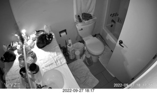 my cat Miss Pris in dark bathroom