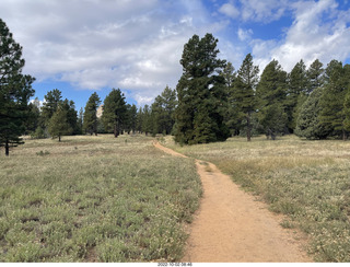 Utah drive to Wildcat Canyon trail