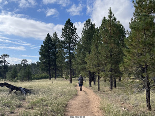 Northgate Peaks trail