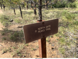 Wildcat Canyon Trail