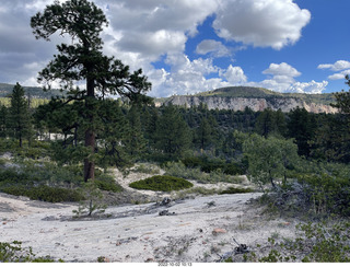 Northgate Peaks trail - vista view