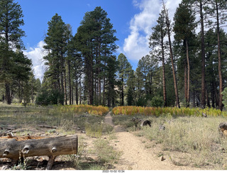 Northgate Peaks trail - vista view