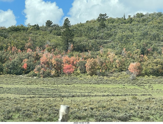 Utah - drive back to Springdale and Zion