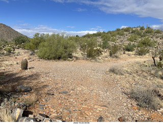 Lost Dog Wash trail - cairn