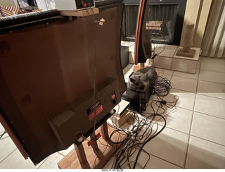 my cat Jane on my Eagle 2 amplifier behind my Quad ESL