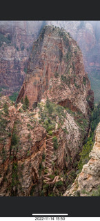 Zion National Park - Scout Landing - Angels Landing hikers