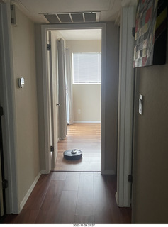 my newly-reconstructed upstairs hallway with Sharknado