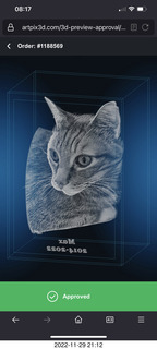 ArtPix 3D image of my cat Max