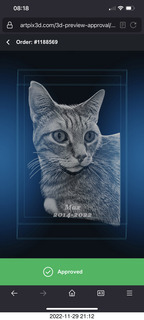 ArtPix 3D image of my cat Max