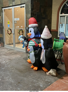 Moab Aarchway hotel greeting penguins